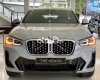 BMW X4 2022 - Màu xám, nhập khẩu nguyên chiếc