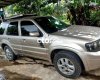 Ford Escape 2008 - Xe rất đẹp