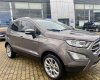 Ford EcoSport 2020 - Xe bản full, có cửa sổ đời, phanh đĩa