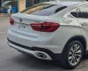 BMW X6 2017 - Màu trắng, nhập khẩu