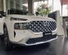 Hyundai Santa Fe 2022 - Cam kết giá tốt nhất thị trường, đủ màu giao ngay