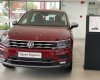 Volkswagen Tiguan 2021 - Volkswagen Đà Nẵng, giá tốt nhất thị trường, nhập khẩu nguyên chiếc, ưu đãi cực lớn tại đây