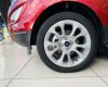 Ford EcoSport 2020 - Biển tỉnh, xe cực mới