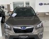 Subaru Forester 2022 - Giá cạnh tranh - Sẵn xe giao ngay