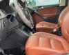 Volkswagen Tiguan 2010 - Nhập khẩu nguyên chính chủ