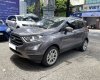 Ford EcoSport 2020 - Màu nâu, 625 triệu