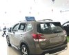 Subaru Forester 2022 - Nhập khẩu, bảo hành 5 năm, giá tốt nhất