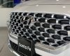 Hyundai Santa Fe 2022 - Sẵn xe giao ngay - Sở hữu chỉ hơn 200 triệu