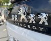 Peugeot 3008 2019 - Xe màu trắng