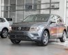 Volkswagen Tiguan 2022 - Xám Platinum, nội thất xám