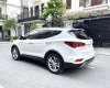 Hyundai Santa Fe 2017 - Cần bán xe