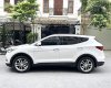 Hyundai Santa Fe 2017 - Cần bán xe