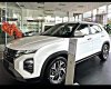 Hyundai Creta 2022 - Xe nhập khẩu 100%