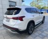 Hyundai Santa Fe 2021 - Xe không lỗi nhỏ