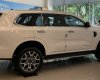 Ford Everest Titanium 2.0L 4x2 AT 2022 - Bán xe Ford Everest Titanium 2.0L 4x2 AT đời 2022, màu trắng, nhập khẩu chính hãng