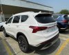 Hyundai Santa Fe 2021 - Giá cực tốt