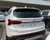 Hyundai Santa Fe 2021 - Giá cực tốt