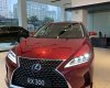 Lexus RX 300 2021 - [ Giao ngay] Lexus RX 300 đỏ nâu còn duy nhất 1 xe tại showroom, giao ngay đi Tết, nhiều quà tặng và ưu đãi hấp dẫn