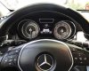 Mercedes-Benz GLA 200 AMG  2014 - Cần bán gấp Mercedes GLA 200 AMG năm 2014, màu bạc, xe nhập xe gia đình, 795 triệu