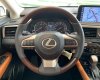 Lexus RX 300 2021 - [ Giao ngay] Lexus RX 300 đỏ nâu còn duy nhất 1 xe tại showroom, giao ngay đi Tết, nhiều quà tặng và ưu đãi hấp dẫn