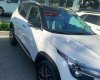 Kia Seltos 2021 - Bán Kia Seltos sản xuất 2021, màu trắng, xe nhập, giá tốt