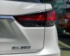 Lexus RX 350 V6 3.5L 2019 - Lexus Rx350 đăng ký 01/2020 sản xuất 2019, động cơ V6 3.5L nhập khẩu Nhật Bản