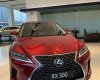 Lexus RX 300 2021 - [ Giao ngay] Lexus RX 300 đỏ nâu còn duy nhất 1 xe tại showroom, giao ngay đi Tết, nhiều quà tặng và ưu đãi hấp dẫn