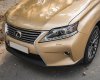 Lexus RX 300 2009 - Xe màu vàng cát, xe nhập