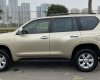 Toyota Land Cruiser Prado   TXL  2009 - Bán xe Toyota Land Cruiser Prado TXL sản xuất 2009, màu vàng, nhập khẩu nguyên chiếc