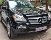 Mercedes-Benz GL 550 2009 - Bán Mercedes-Benz GL 550 sản xuất năm 2009, 725 triệu