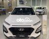 Hyundai Kona 2022 - Bán ô tô Hyundai Kona 2.0AT đặc biệt sản xuất năm 2022, màu trắng
