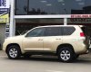 Toyota Land Cruiser Prado   TXL   2012 - Cần bán lại xe Toyota Land Cruiser Prado TXL sản xuất 2012, màu vàng, nhập khẩu