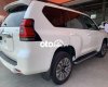 Toyota Land Cruiser Prado 2022 - Bán ô tô Toyota Land Cruiser Prado năm 2022, màu trắng, nhập khẩu nguyên chiếc