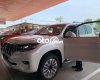 Toyota Land Cruiser Prado 2022 - Cần bán Toyota Land Cruiser Prado VX sản xuất năm 2022, nhập khẩu nguyên chiếc