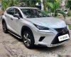 Lexus NX 300 2017 - Xe model 2018, màu trắng