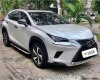 Lexus NX 300 2017 - Màu trắng, nhập khẩu nguyên chiếc