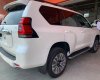 Toyota Land Cruiser Prado 2022 - Bán Toyota Land Cruiser Prado VX 2.7 năm sản xuất 2022, màu trắng