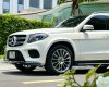 Mercedes-Benz GLS 400 2019 - Xe màu trắng