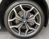 BMW X2 2022 - Bán ô tô BMW X2 sDrive20i năm sản xuất 2022, màu trắng, xe nhập