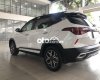 Kia Seltos   1.4 Turbo Premium  2021 - Cần bán xe Kia Seltos 1.4 Turbo Premium năm sản xuất 2021, màu trắng còn mới, 759 triệu