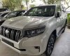 Toyota Land Cruiser Prado 2022 - Giao trong tháng Toyota Land Cruiser Prado sản xuất 2022- Hậu duệ xứng tầm- Chinh phụ mọi địa hình