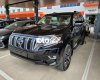 Toyota Land Cruiser Prado 2022 - Màu đen, nhập khẩu