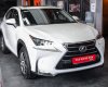 Lexus NX 200T 2016 - Bán Lexus NX 200T năm sản xuất 2016, màu trắng, nhập khẩu