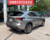 Lexus NX 200T 2016 - Màu vàng, nhập khẩu