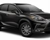 Lexus NX 300    2021 - Bán Lexus NX 300 sản xuất 2021, màu đen, nhập khẩu nguyên chiếc  