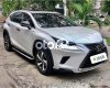 Lexus NX 300 2017 - Màu bạc