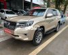 Toyota Land Cruiser Prado 2013 - Cần bán xe Toyota Land Cruiser Prado TX-L năm 2013, màu vàng đồng, xe nhập