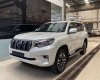 Toyota Land Cruiser Prado 2022 - Bán Toyota Land Cruiser Prado năm 2022, màu trắng, nhập khẩu nguyên chiếc