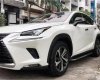 Lexus NX 300 2017 - Màu trắng, nhập khẩu nguyên chiếc