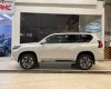 Toyota Land Cruiser Prado 2022 - Bán Toyota Land Cruiser Prado năm 2022, màu trắng, nhập khẩu nguyên chiếc